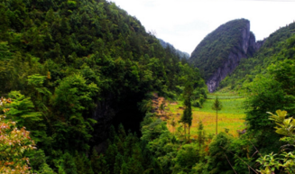 利川有什么好玩的地方 利川有哪些旅游景点