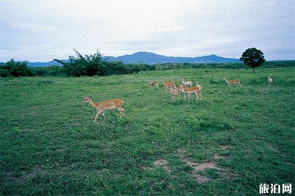 2022海南大田自然保护区游玩攻略 - 地址 - 天气 - 景点介绍