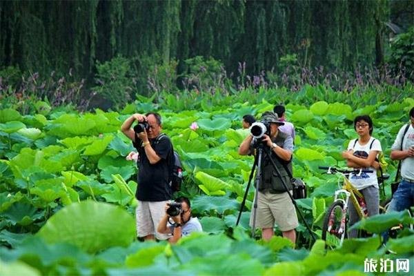 2023成都三圣花乡旅游攻略?-?门票价格 - 景点介绍?-?简介?-?交通?-?地址 -?天气