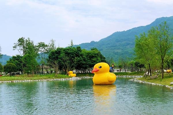 成都周末露营哪里好 最佳露营地推荐