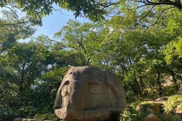 连云港孔望山门票多少钱 附预约流程及优惠政策