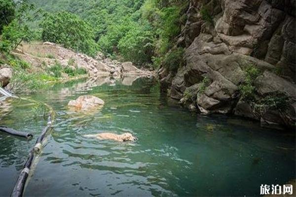 梨木台景区导游图 梨木台景区介绍