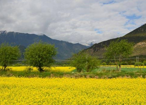 2017林芝有哪些值得游玩的地方 什么时候去林芝最好