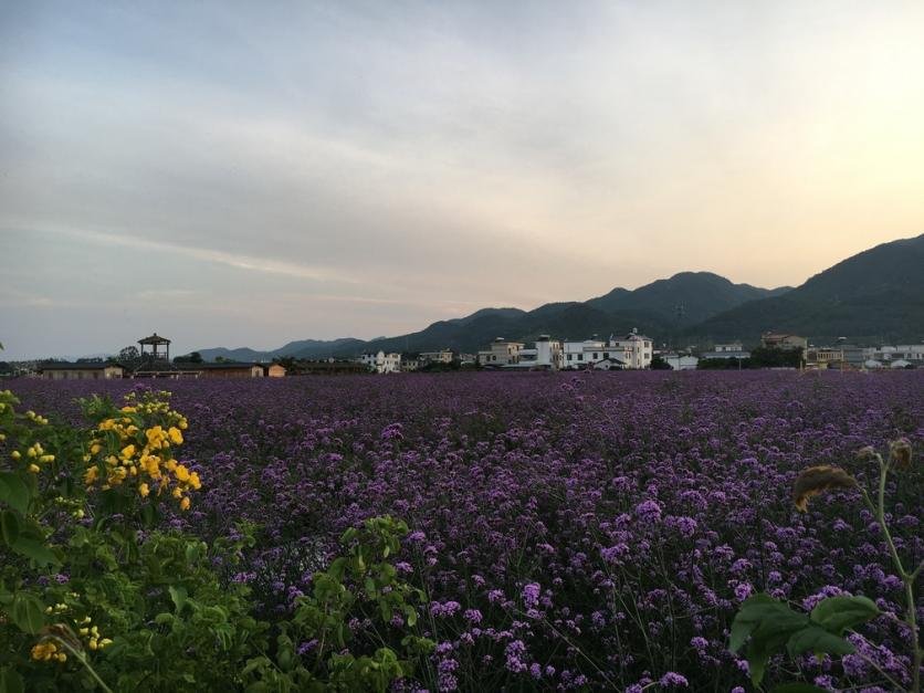 蕉岭县在哪里