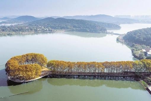 东湖四大景区哪个好玩?看完景区特点豁然开朗