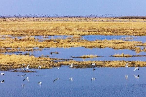 2022鹤岗萝北嘟噜河湿地旅游攻略 - 门票 - 交通 - 景点介绍