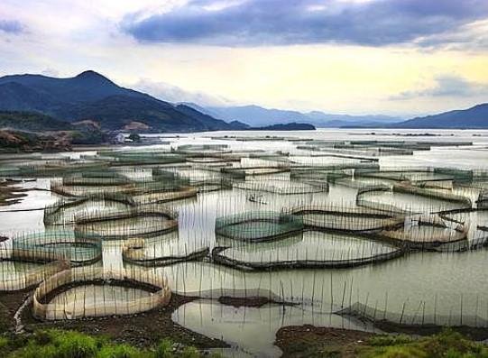 福州赶海鱼乡之旅线路推荐