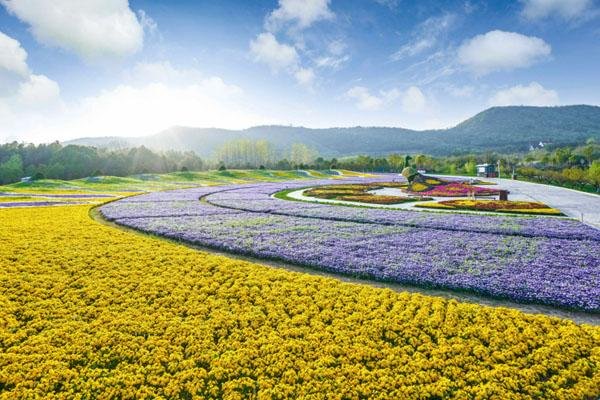 花谷奇缘旅游度假区游玩攻略-门票价格-景点信息