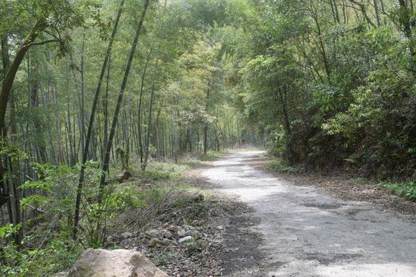 九峰山在哪里