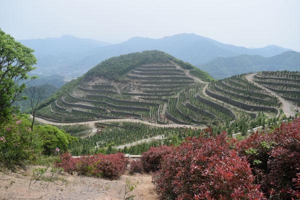 九峰山在哪里