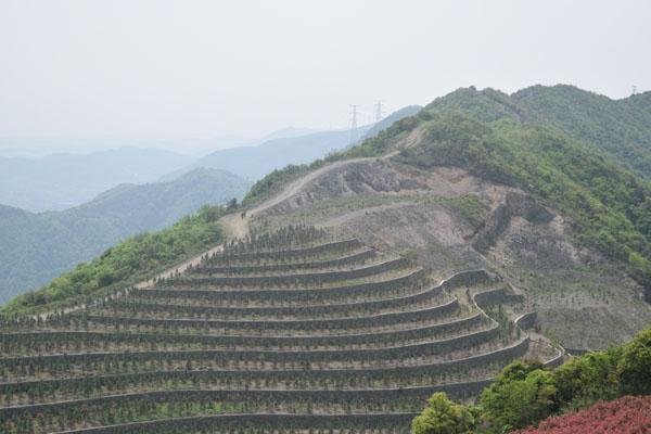 九峰山在哪里