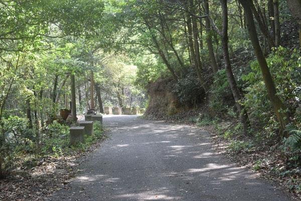 九峰山在哪里