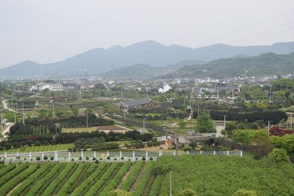 九峰山在哪里