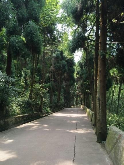 峨眉山有哪些景点 峨眉山有哪些寺庙