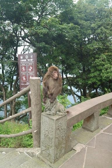 峨眉山有哪些景点 峨眉山有哪些寺庙