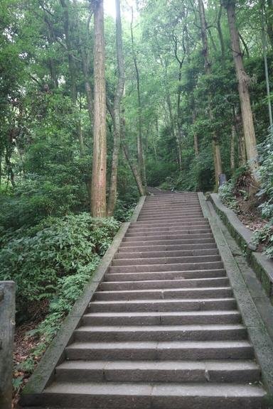 峨眉山有哪些景点 峨眉山有哪些寺庙