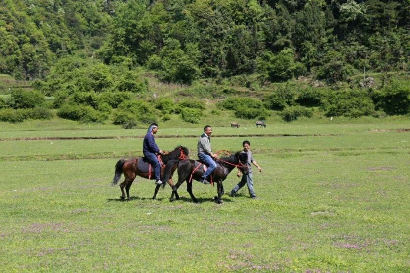 黄金洞石家坝向家村草原自助旅游攻略