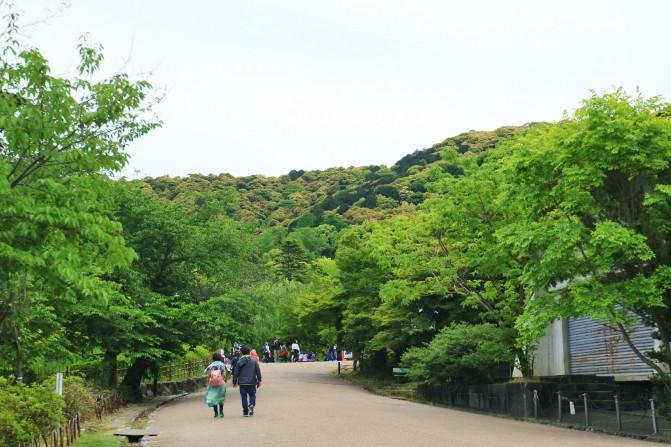 大阪有什么旅游景点 去大阪买什么好