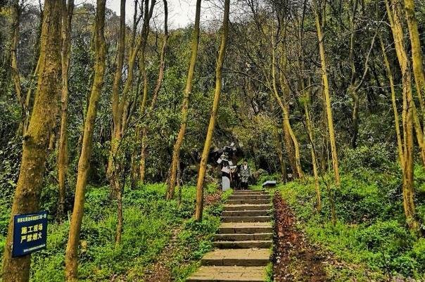 杭州登高望远的地方