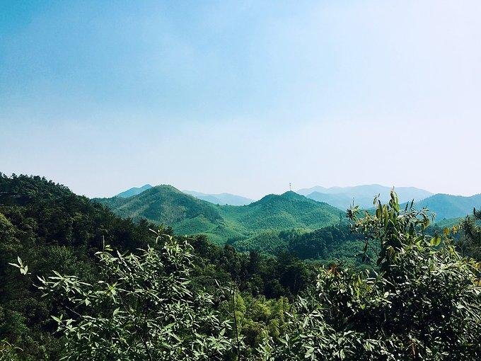 莫干山有什么好玩的 莫干山有哪些旅游景点