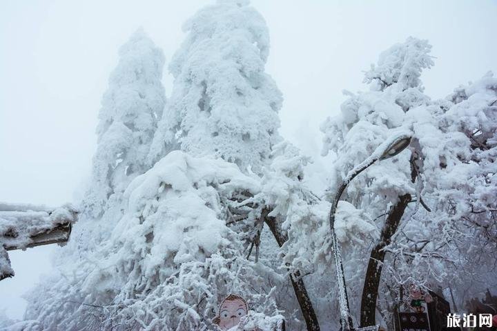 峨眉山冬季旅游攻略  峨眉山有什么特点