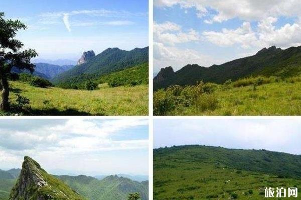 东坪沟高山草甸攻略