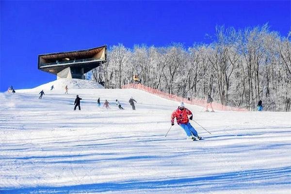 2023呼和浩特马鬃山滑雪场旅游攻略 - 门票价格 - 优惠政策 - 开放时间 - 简介 - 交通 - 美食 - 地址 - 电话 - 天气