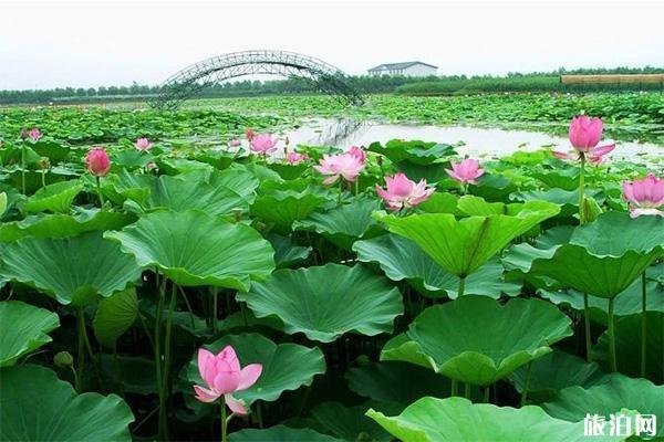 北京周边热门景点