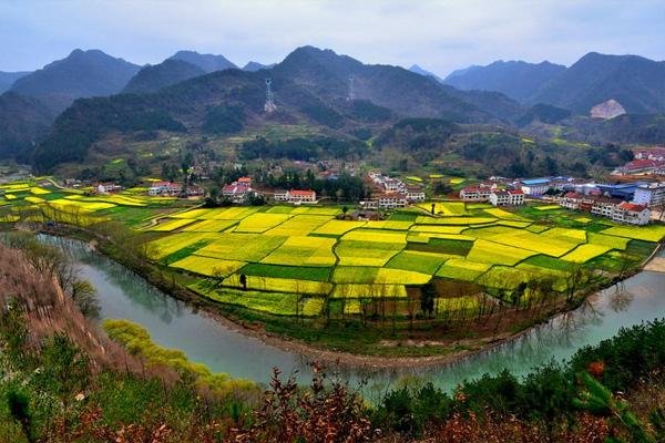 2022汉中油菜花自驾游路线 汉中油菜花最佳观赏时间