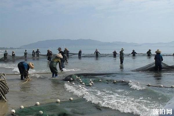 惠州双月湾赶海攻略 停车费多少钱