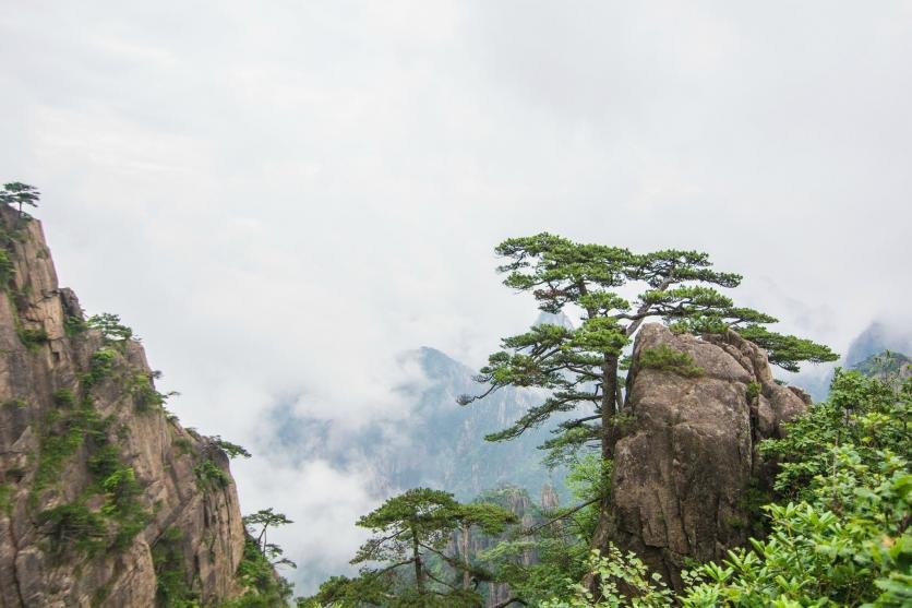 黄山有哪些旅游景点 黄山有什么好玩的