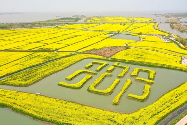 高邮湖上花海旅游攻略-门票价格-景点信息