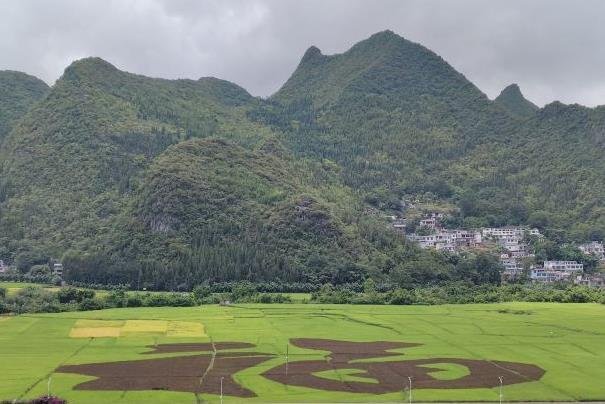 贵州冬季自驾游线路推荐