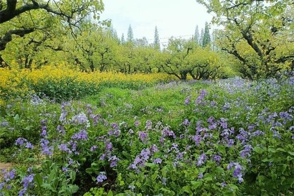 2022柳树湾风景区门票 - 地址 - 交通 - 景区介绍