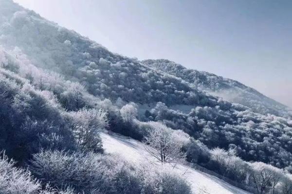 河南滑雪场有哪些地方 有名的滑雪场推荐