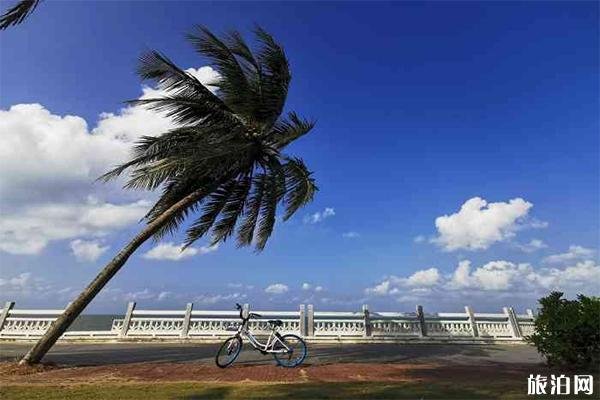 2022桂林洋海滨旅游区游玩攻略 - 地址 - 天气 - 交通 - 景点介绍