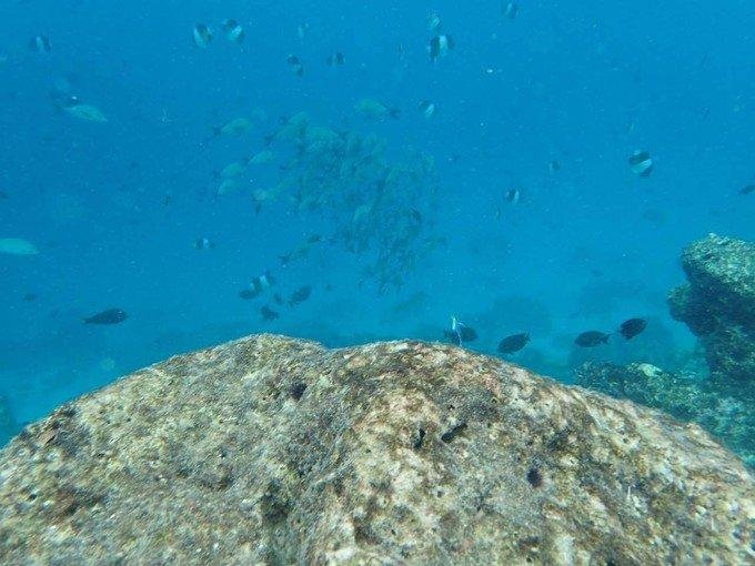 芙拉瓦丽岛怎么样 芙拉瓦丽岛旅游攻略