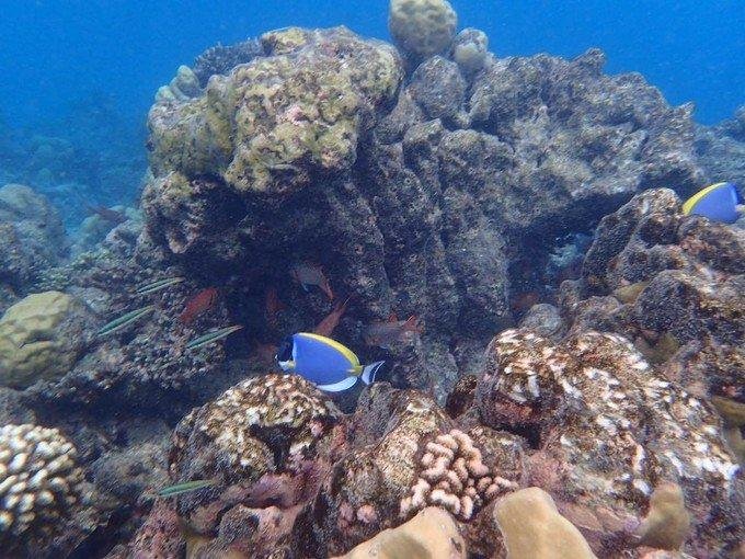 芙拉瓦丽岛怎么样 芙拉瓦丽岛旅游攻略