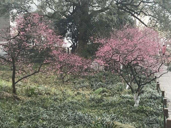 杭州有哪些旅游景点