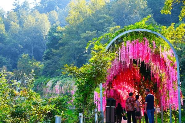 梅岭铜源峡风景区游玩攻略-门票价格-景点信息