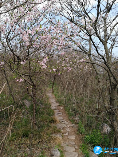 琅琊山好玩吗 2018琅琊山游玩攻略