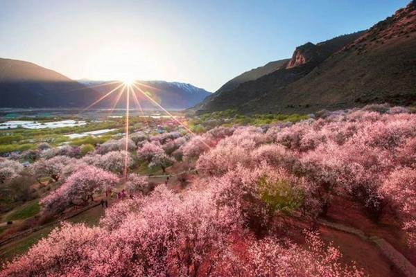 春季旅游路线推荐 每一个都不容错过