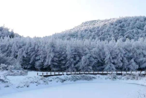 2022重庆茅草坝滑雪场攻略 门票价格和地址交通指南