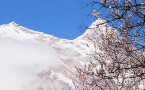 林芝县为什么取名叫巴宜区 从拉萨怎么去林芝 去林芝旅游哪些景点必去