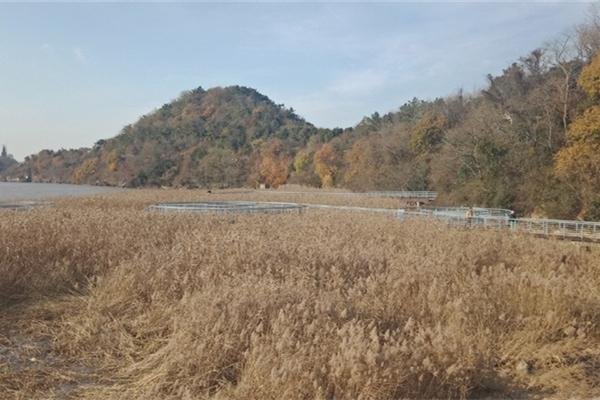 2022南通黄泥山门票 - 地址交通 - 景区介绍