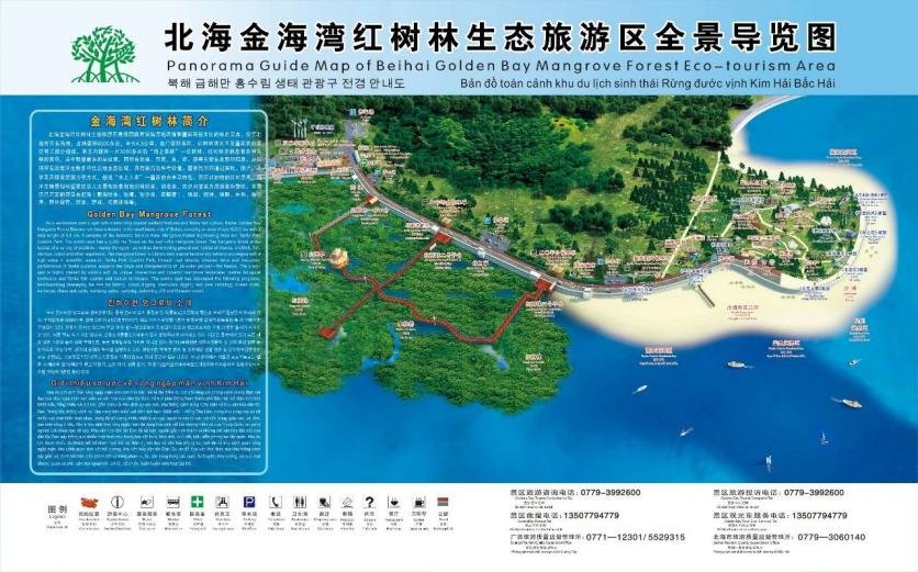 2023北海金海湾红树林生态旅游区旅游攻略 - 门票价格 - 优惠政策 - 地址 - 交通 - 天气 - 简介 - 电话 - 开放时间