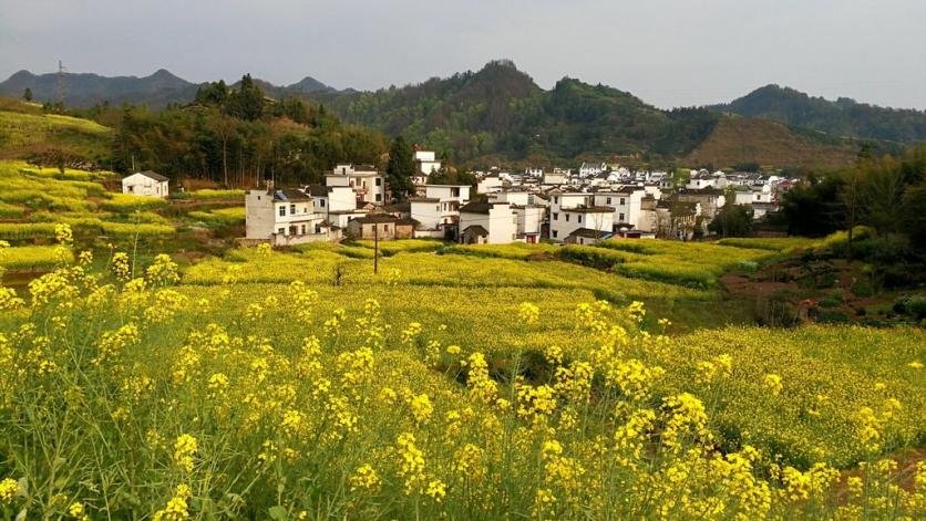 徽州有哪些好玩的 徽州有哪些旅游景点