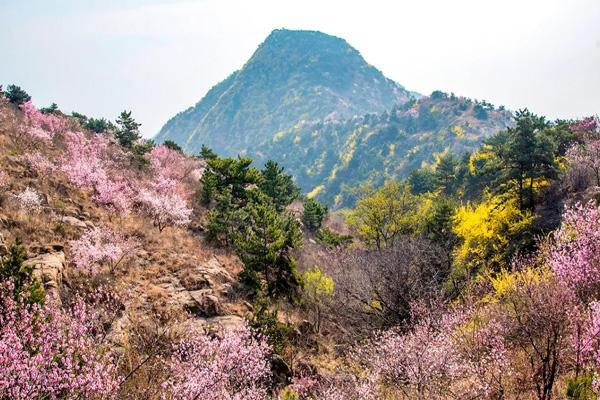 2024济南香山景区旅游攻略-门票价格-景点信息