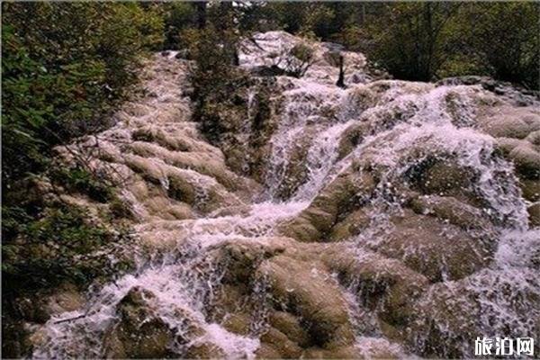 2022黄龙山生态旅游区游玩攻略 - 景点介绍 - 开放时间