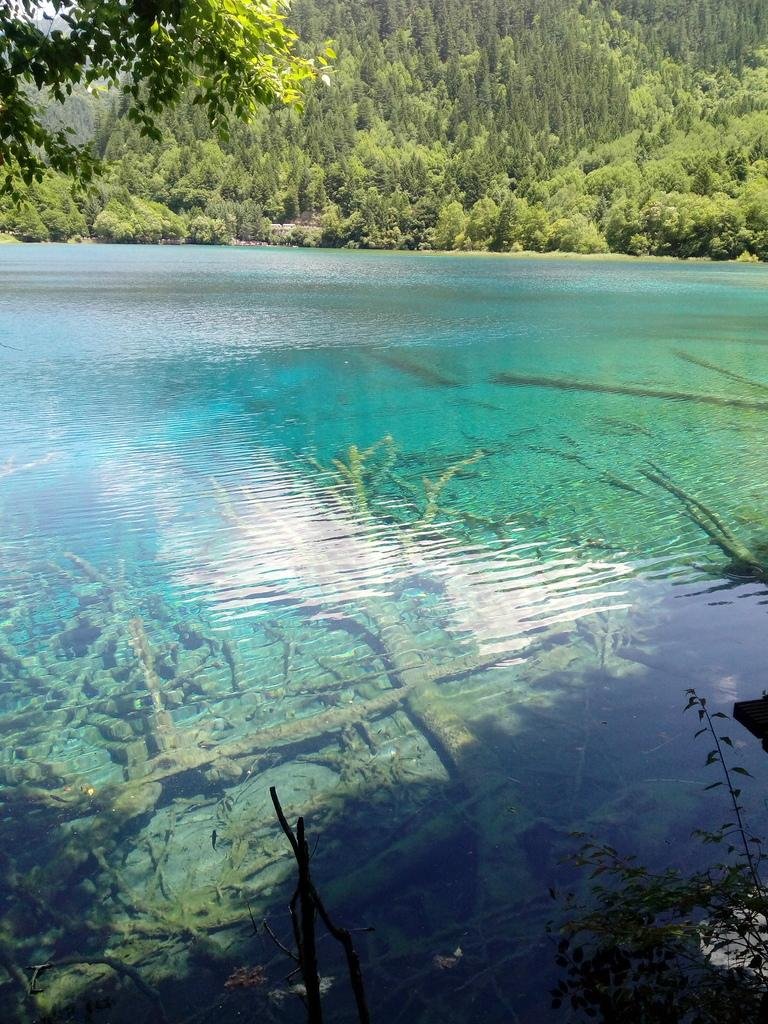 九寨沟8月份去好吗 九寨沟8月旅游攻略